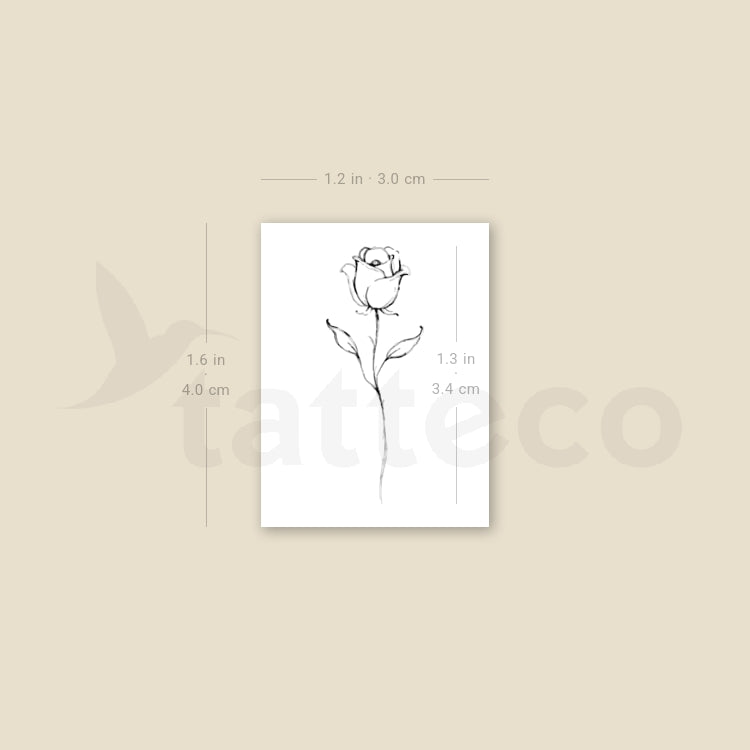 Rose By Stefano Mazza Temporary Tattoo - Set of 3