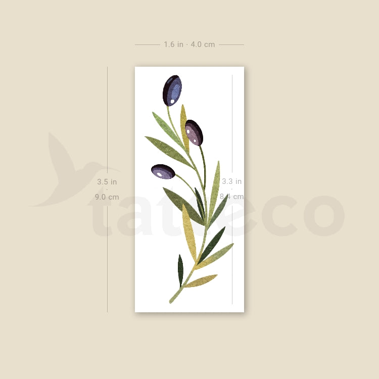 Olive Branch By Ann Lilya Temporary Tattoo - Set of 3