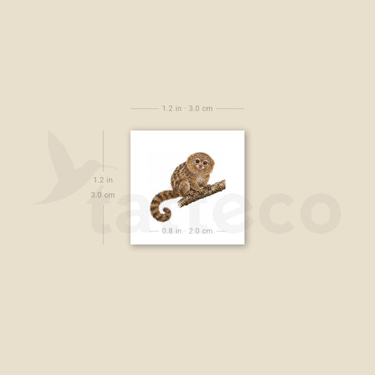 Pygmy Marmoset Temporary Tattoo - Set of 3