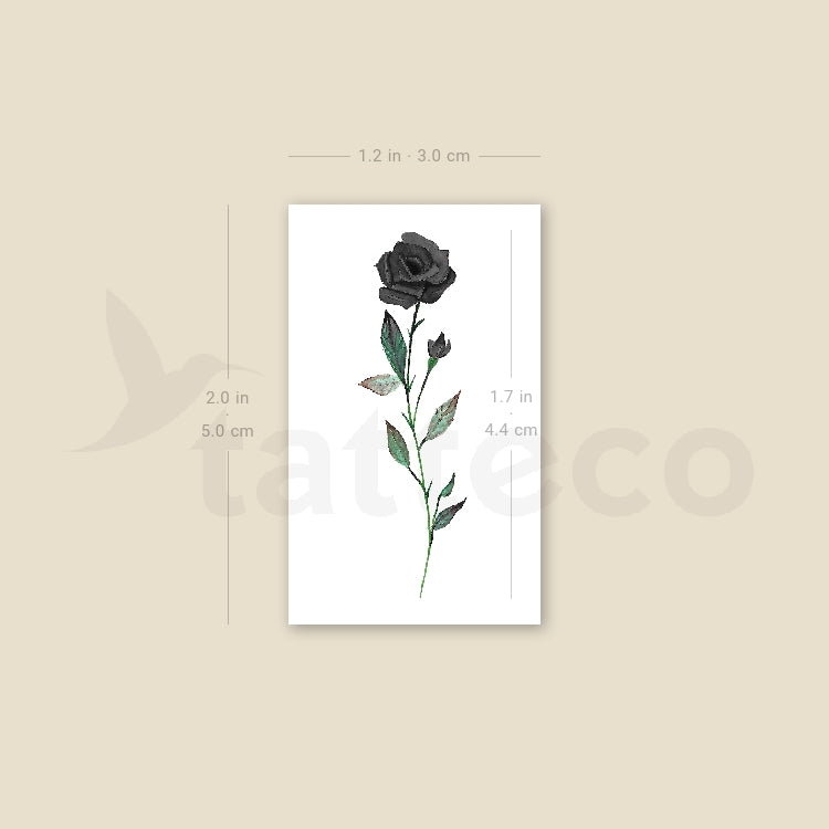 Black Rose By Lena Fedchenko Temporary Tattoo - Set of 3