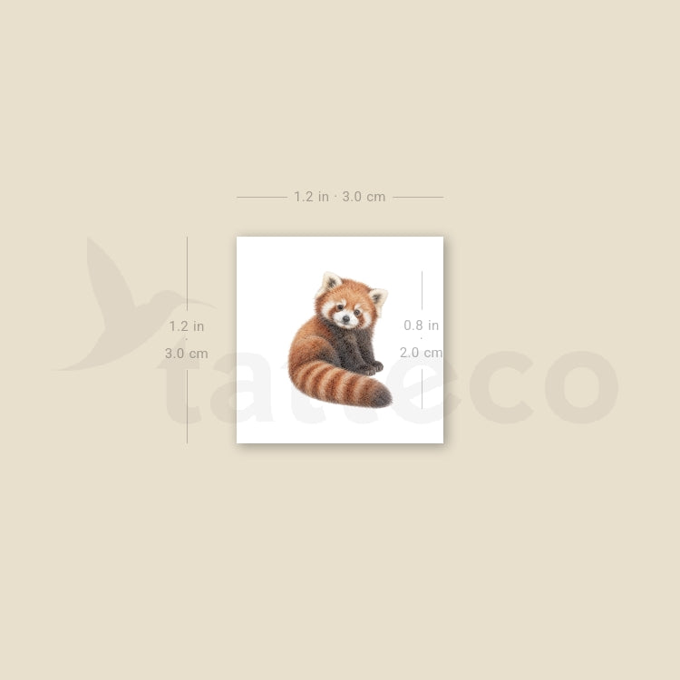 Baby Red Panda Temporary Tattoo - Set of 3