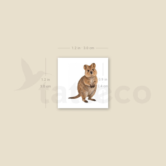Quokka Temporary Tattoo - Set of 3