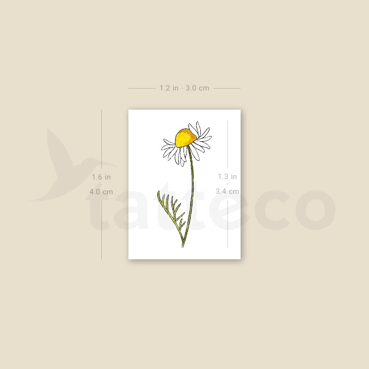 Chamomile By Ann Lilya Temporary Tattoo - Set of 3