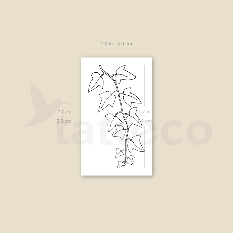 Common Ivy Plant Temporary Tattoo - Set of 3