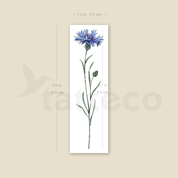 Cornflower By Ann Lilya Temporary Tattoo - Set of 3