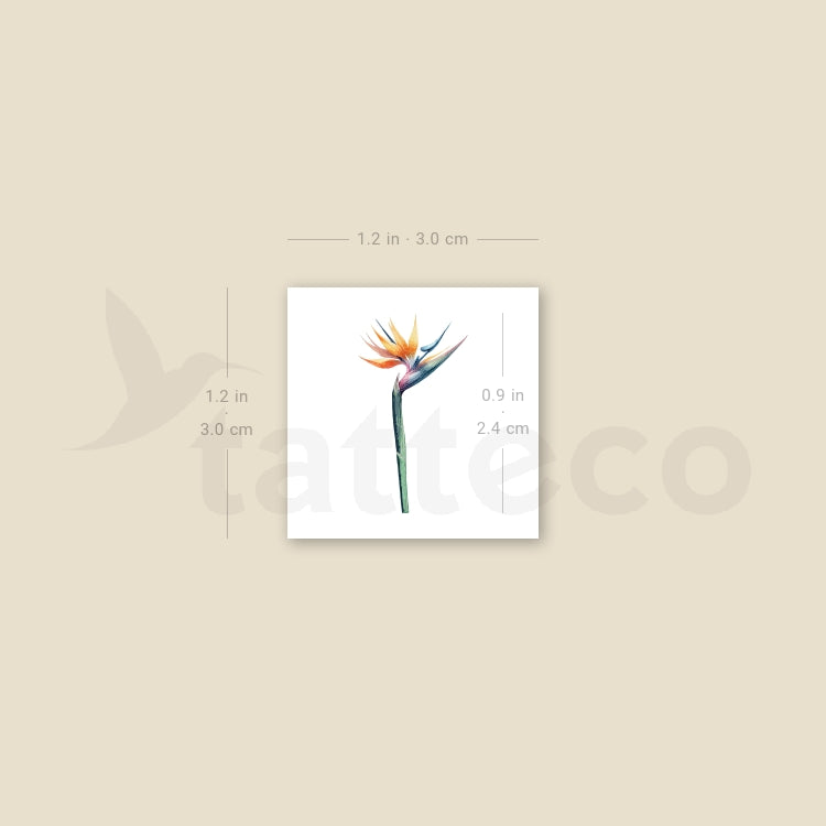 Small Watercolor Bird Of Paradise Temporary Tattoo - Set of 3