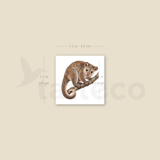 Cuscus Temporary Tattoo - Set of 3