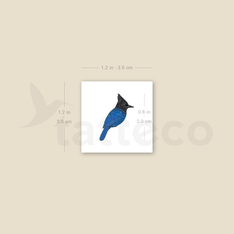 Little Steller's Jay Temporary Tattoo - Set of 3