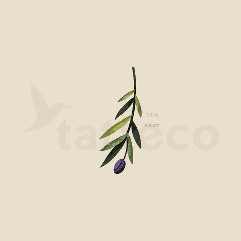 Small Olive Branch By Ann Lilya Temporary Tattoo - Set of 3