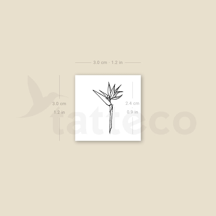 Bird of Paradise Strelitzia Temporary Tattoo - Set of 3