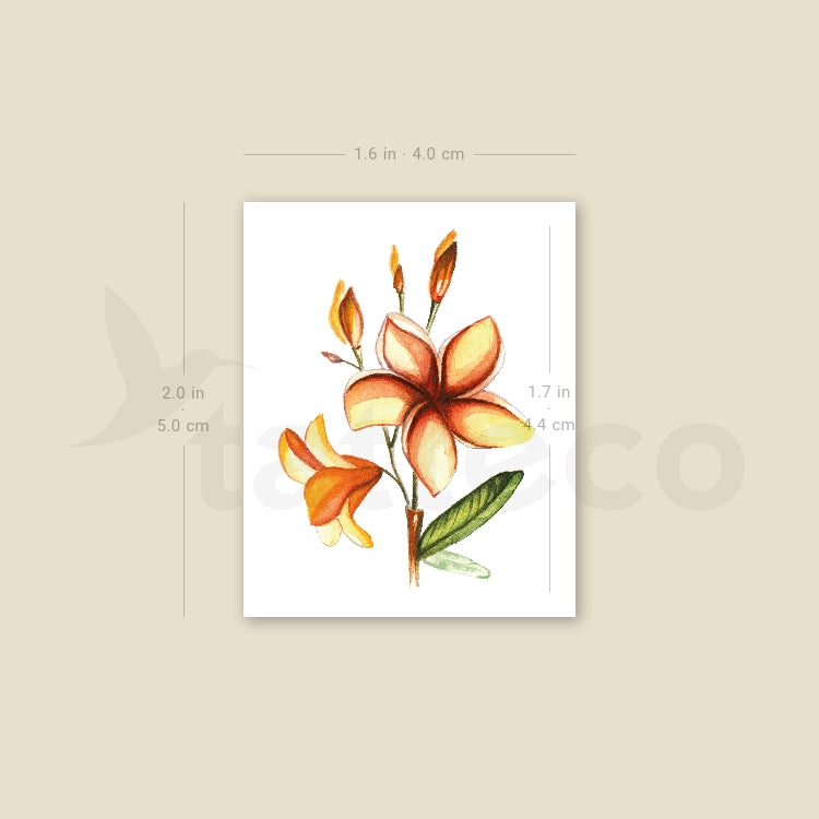 Watercolor Plumeria Temporary Tattoo - Set of 3