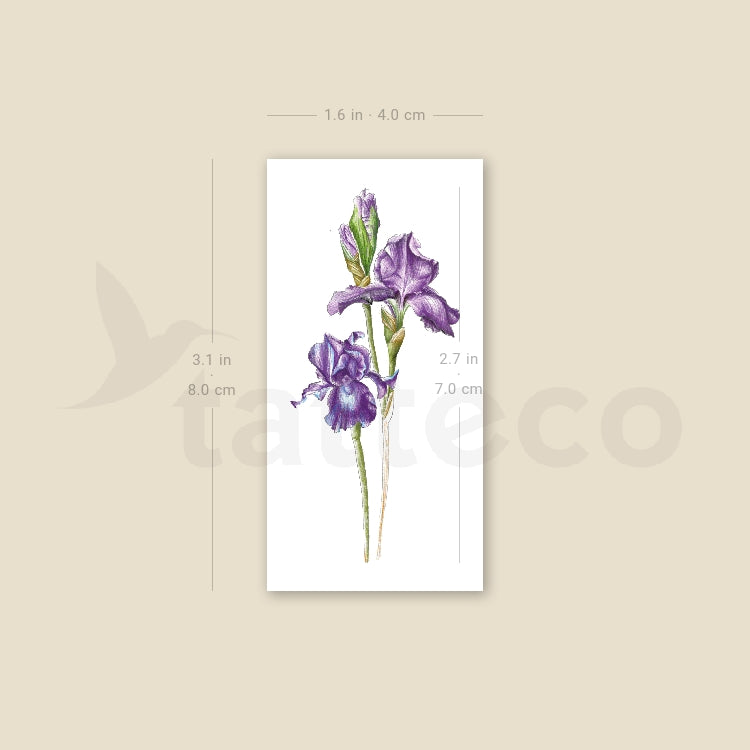 Illustrative Iris Temporary Tattoo - Set of 3