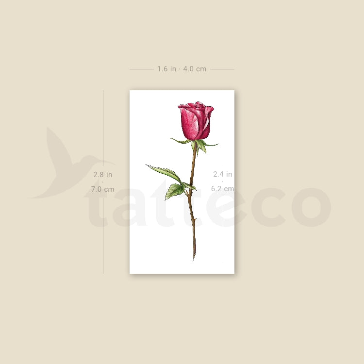 Illustrative Red Rose Temporary Tattoo - Set of 3