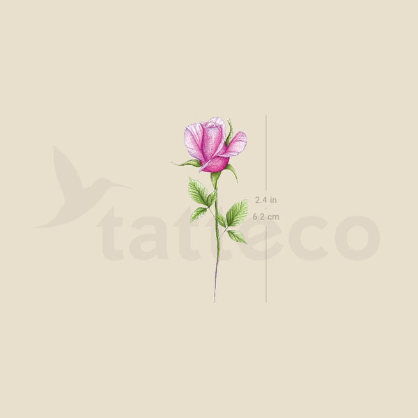 Illustrative Pink Rose Temporary Tattoo - Set of 3