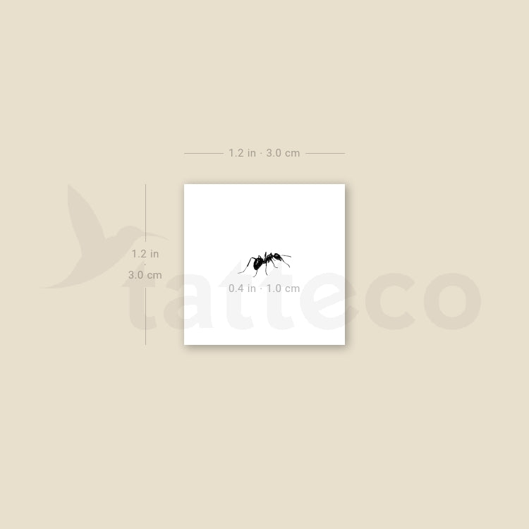 Ant Temporary Tattoo - Set of 3