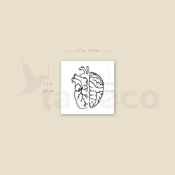Anatomical Heart & Brain Temporary Tattoo - Set of 3