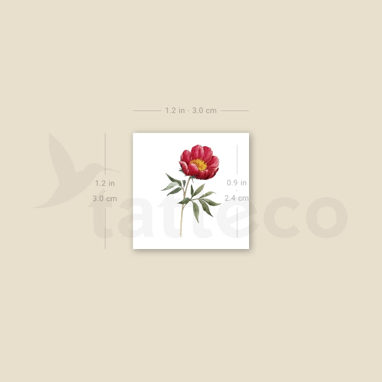 Pink Peony Temporary Tattoo - Set of 3