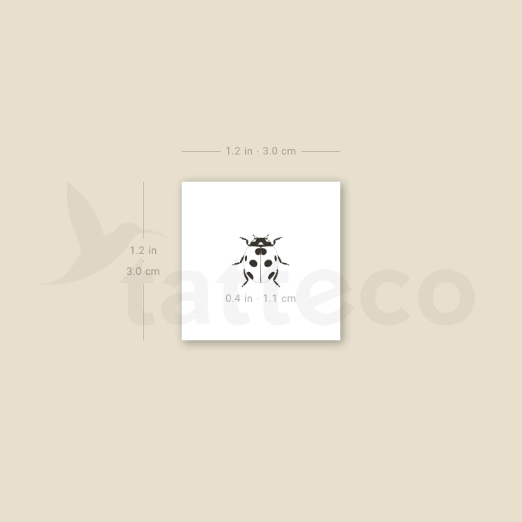 Tatuaje temporal minimalista de mariquita (juego de 3)