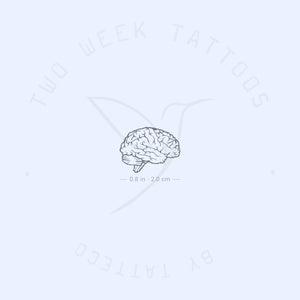 Small Brain Semi-Permanent Tattoo - Set of 2