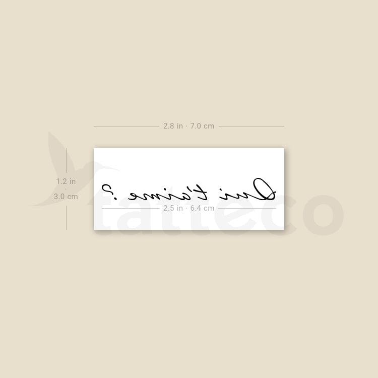 Qui t'aime? Temporary Tattoo - Set of 3