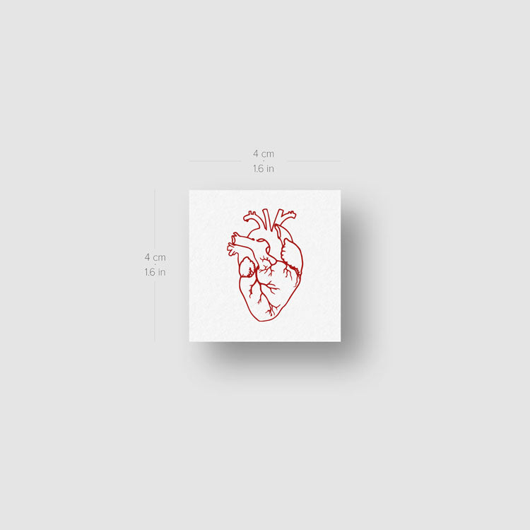 Fine Line Red Anatomical Heart Temporary Tattoo - Set of 3