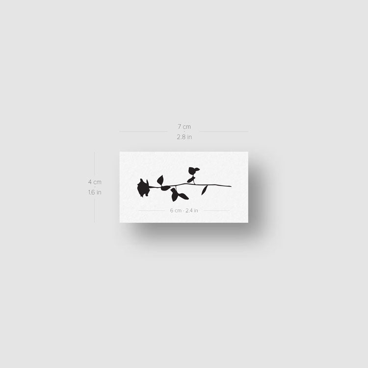 Tatuaje temporal de rosa negra - Juego de 3