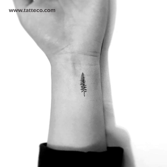Tatuaje temporal de árbol de coníferas - Juego de 3