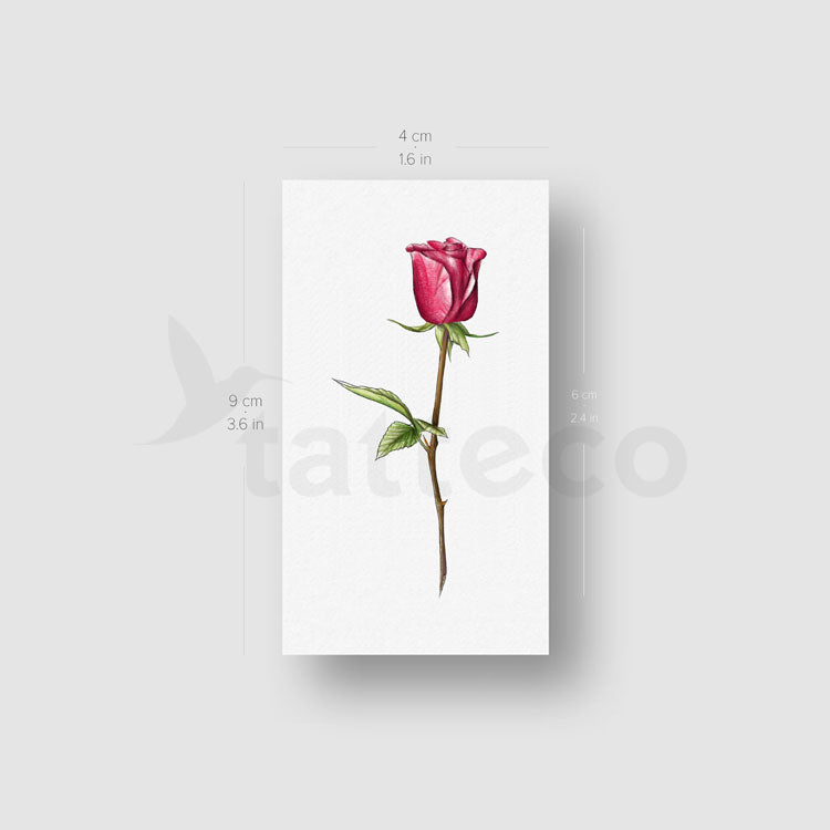 Three Roses Temporary Tattoo Set by Mini Lau - Set of 9