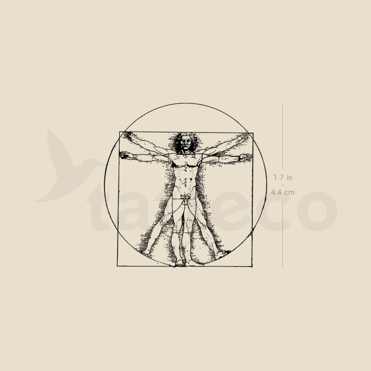 Vitruvian Man Temporary Tattoo Set of 3 Tatteco