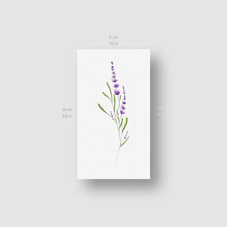 Tatuaje temporal ilustrativo de lavanda - Juego de 3