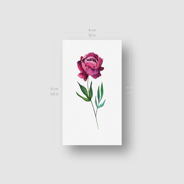 Tatuaje temporal de peonía rosa de Lena - Juego de 3