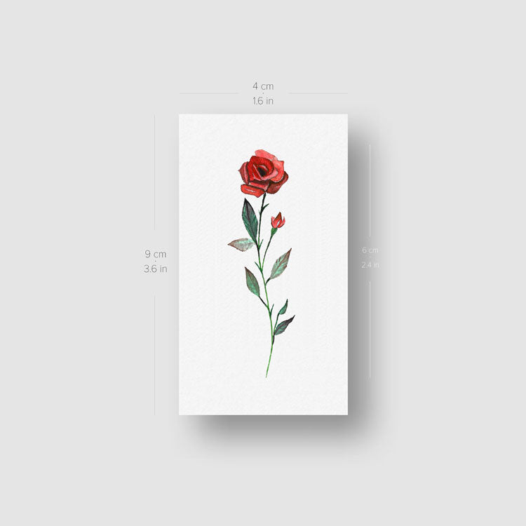 Tatuaje temporal de rosa roja en acuarela (juego de 3)