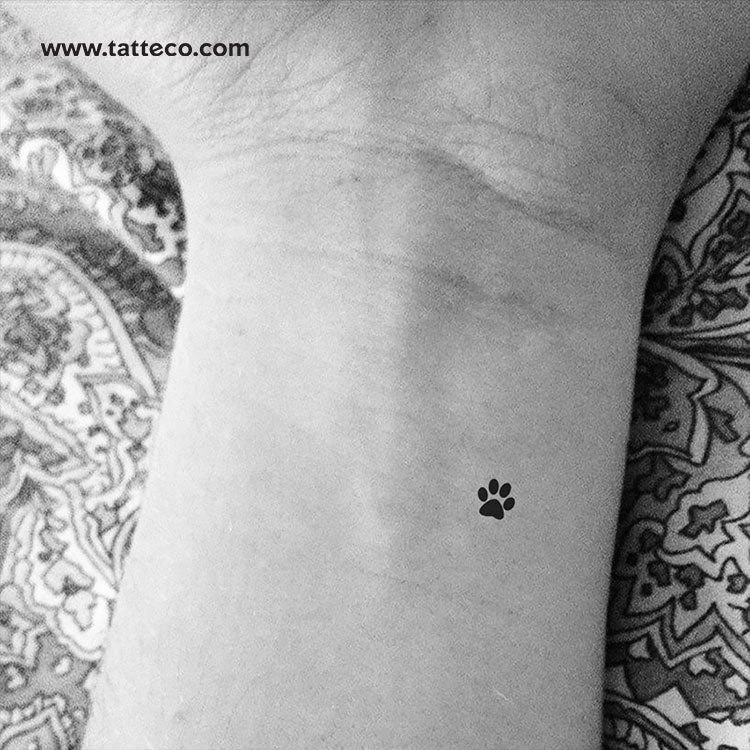 Fine Line Dog Paw Print Temporary Tattoo - Set of 3 – Tatteco