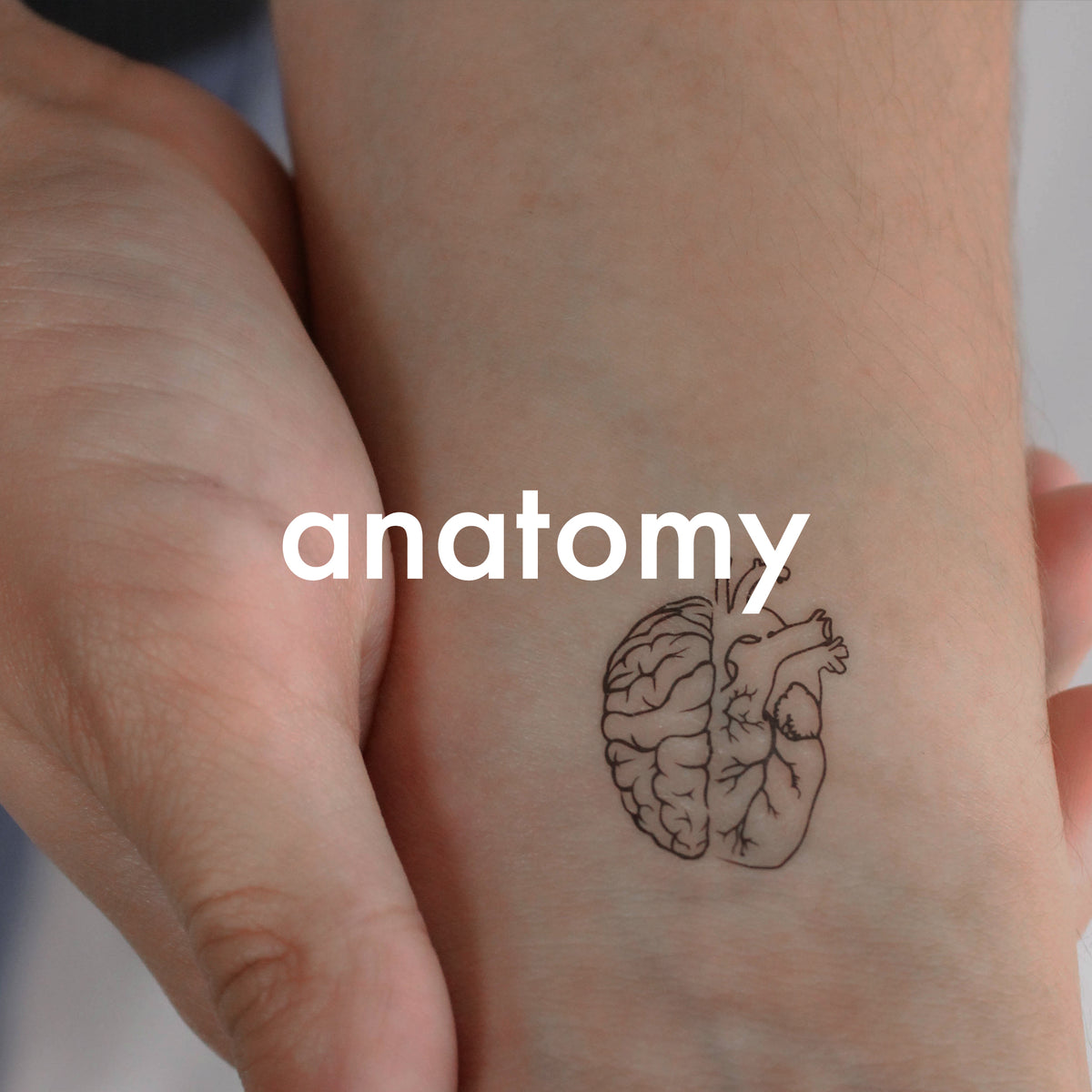 Anatomical