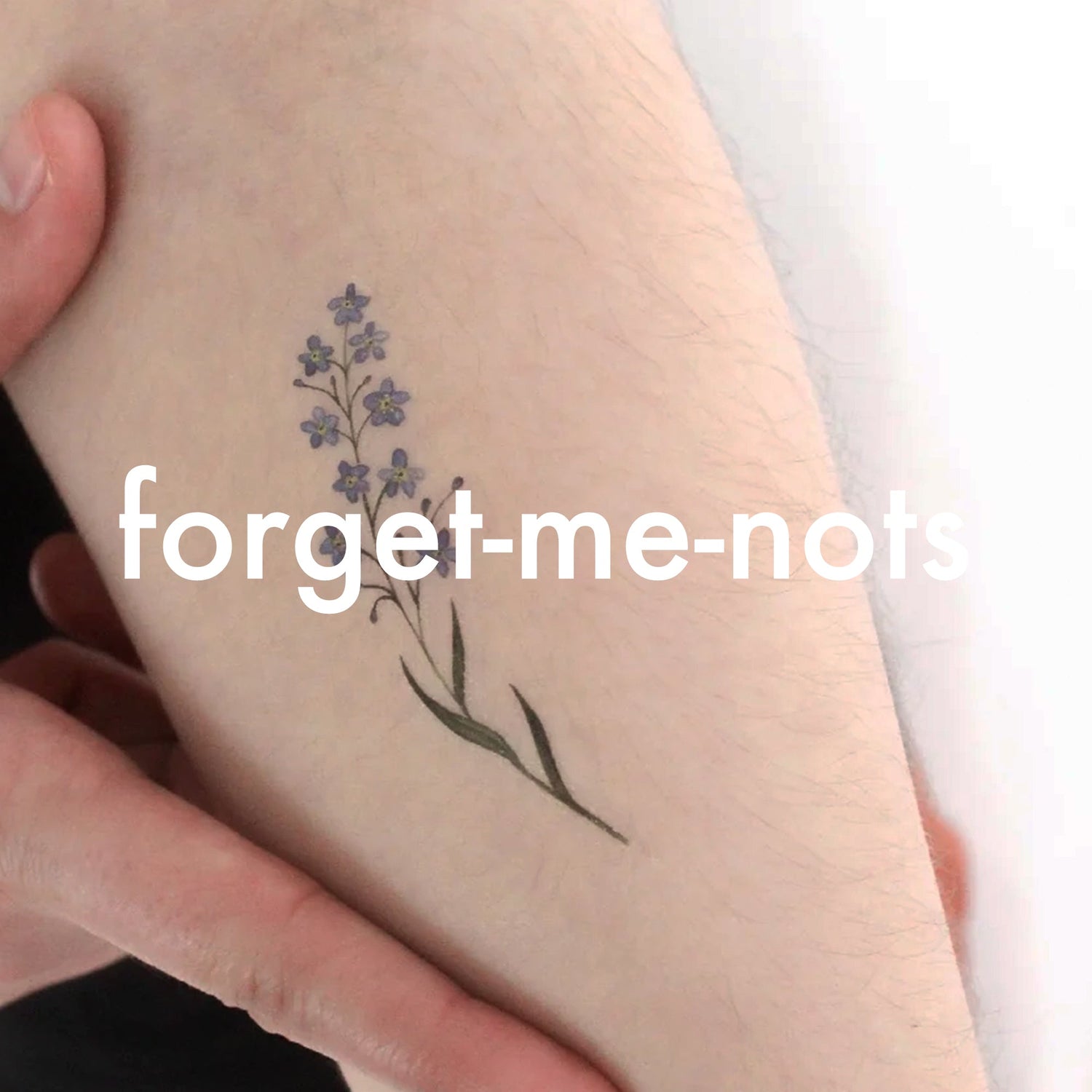 Forget-me-nots