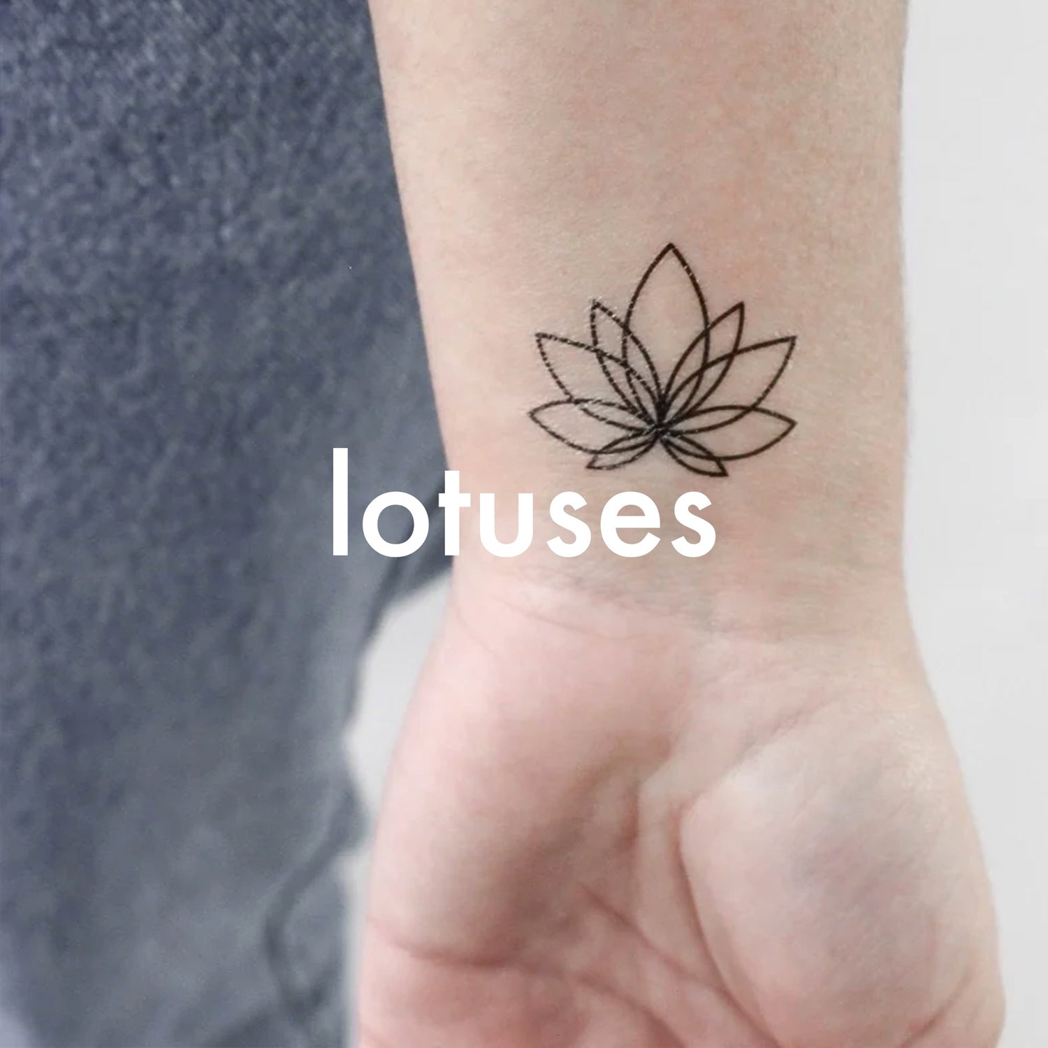 Lotuses