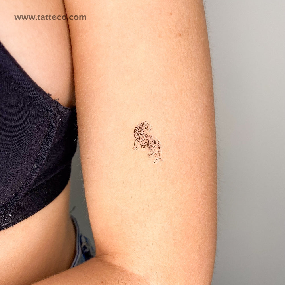 Tiger Temporary Tattoo - Set of 3