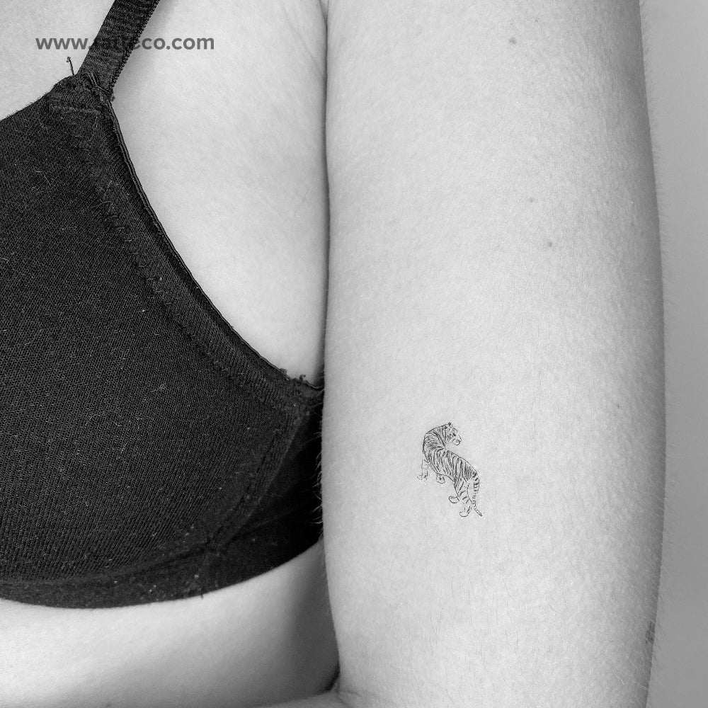 Tiger Temporary Tattoo - Set of 3