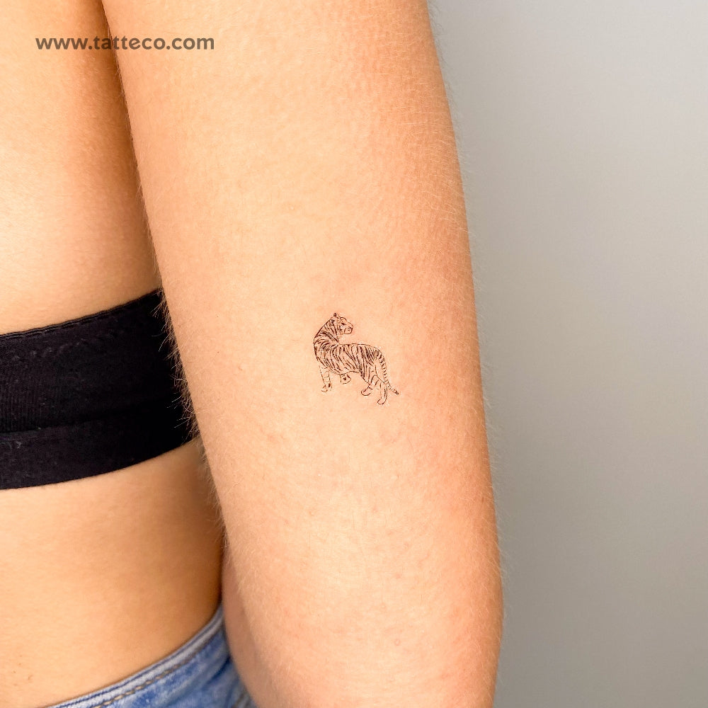 Tiger Temporary Tattoo - Set of 3