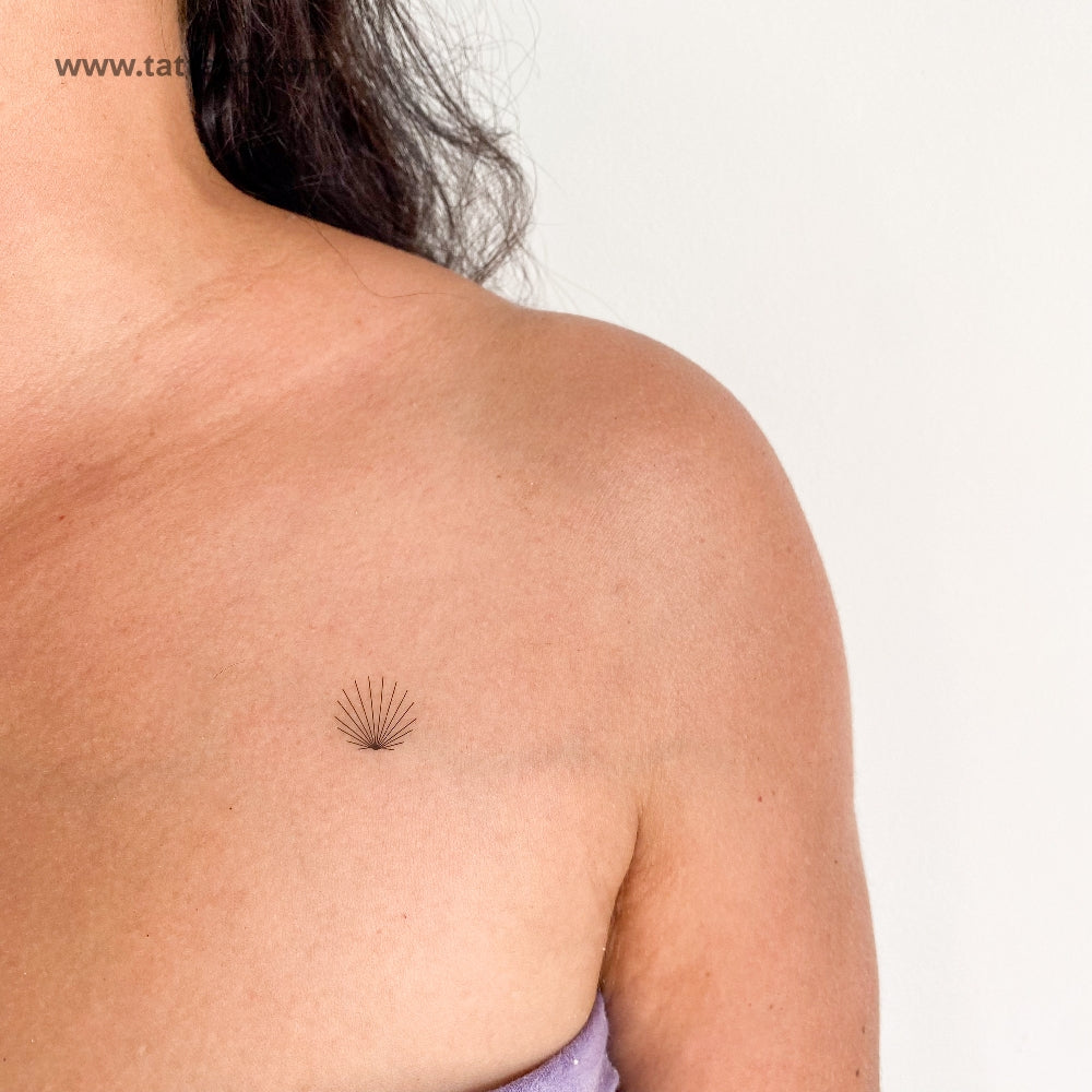 Tatuaje temporal de concha minimalista diminuta - Juego de 3