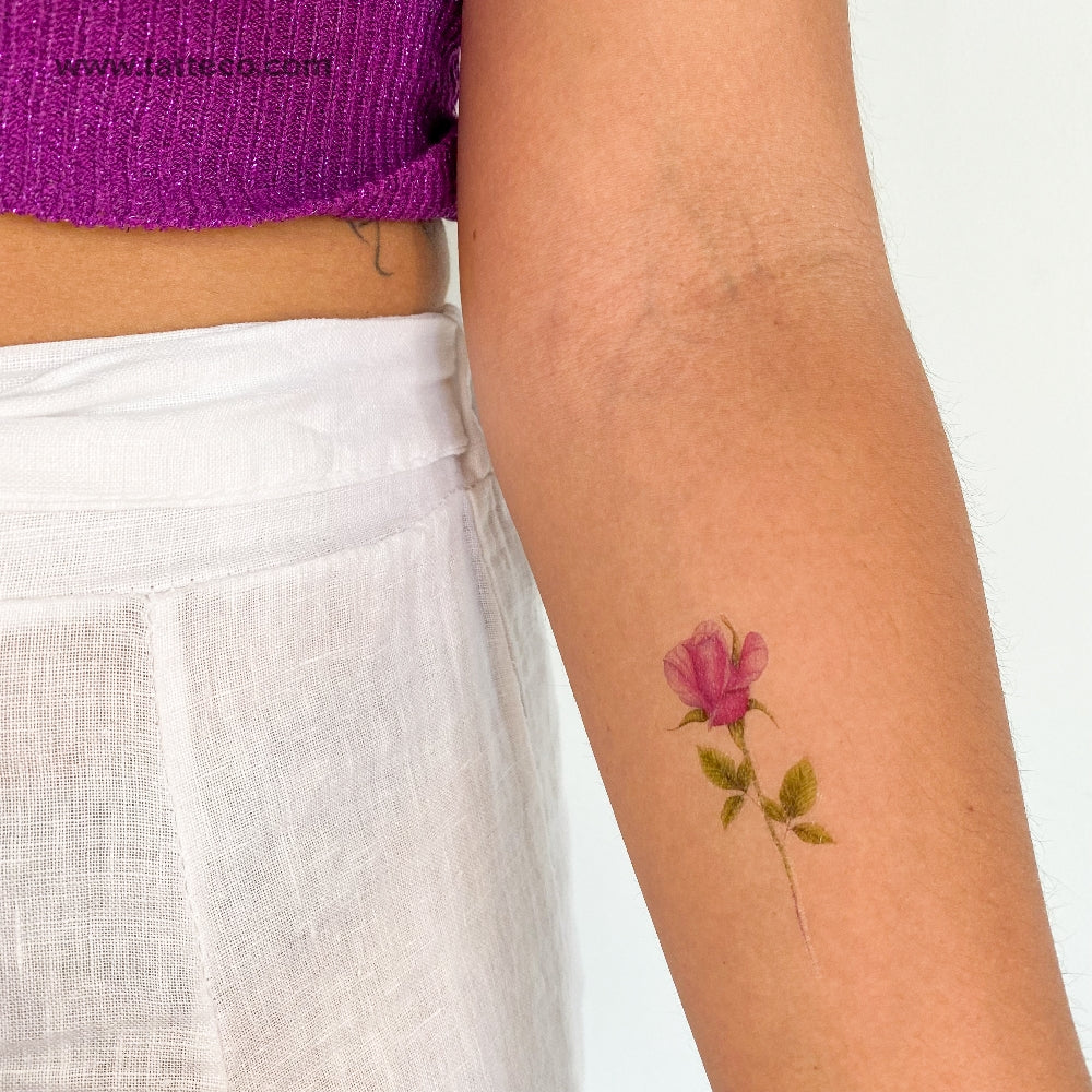 Illustrative Pink Rose Temporary Tattoo - Set of 3