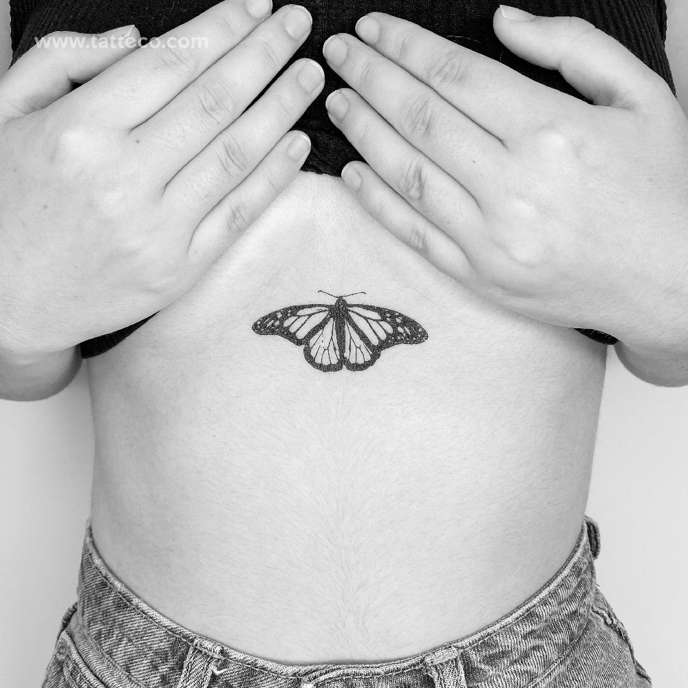 Common Tiger Butterfly Temporary Tattoo - Set of 3