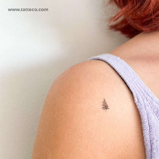 Tatuaje temporal de un pequeño pino (juego de 3)