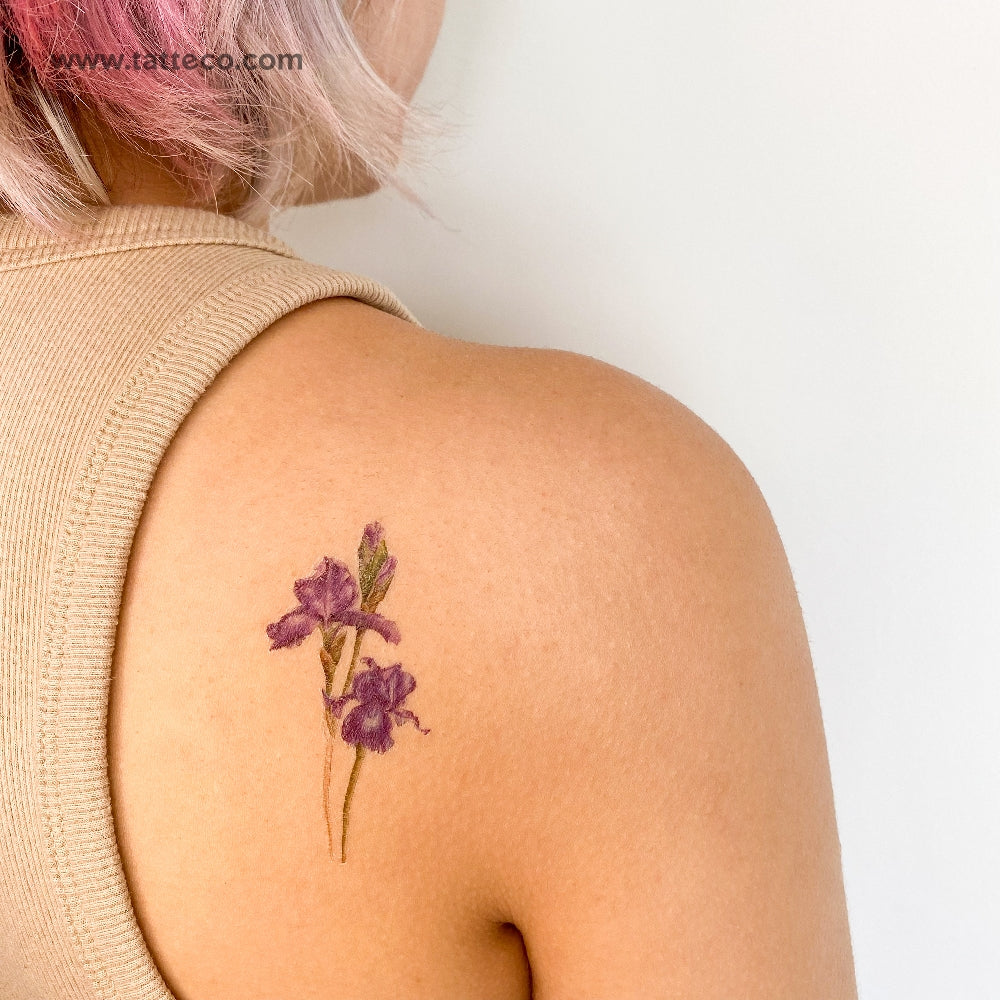 Illustrative Iris Temporary Tattoo - Set of 3