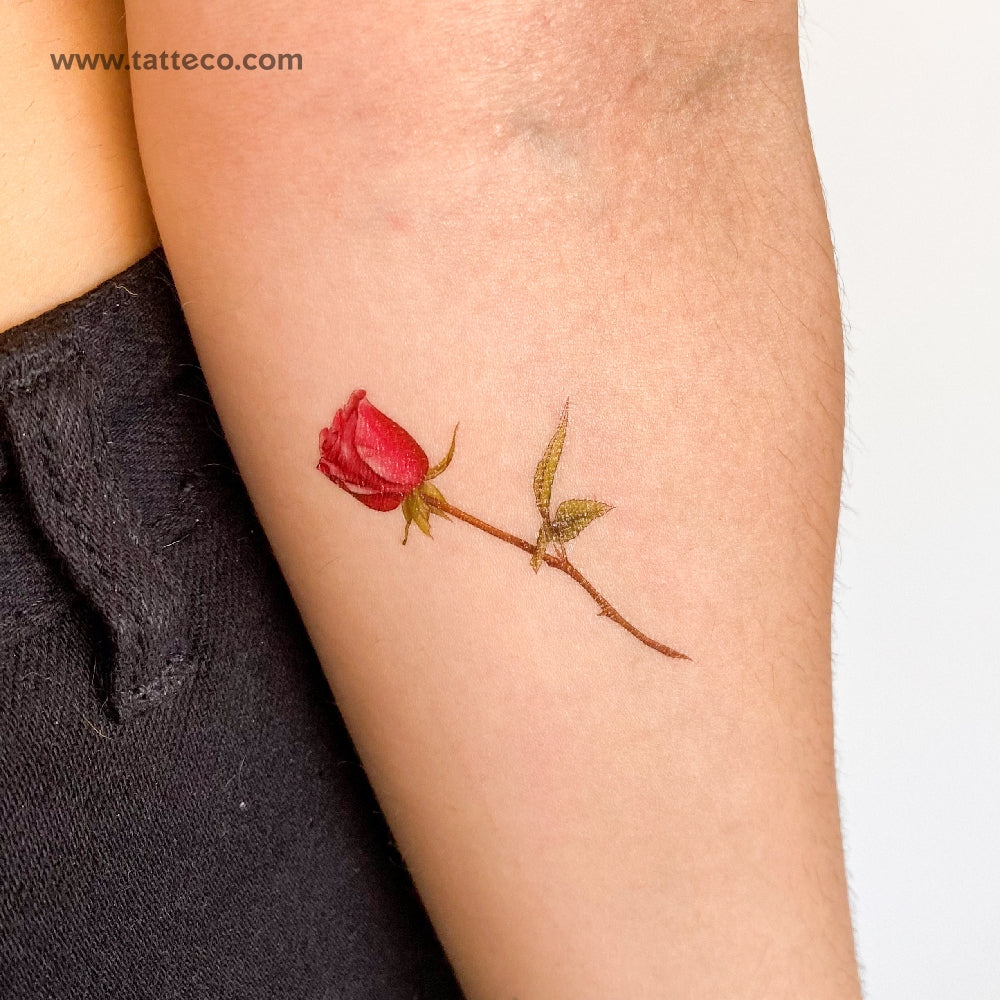 Illustrative Red Rose Temporary Tattoo - Set of 3