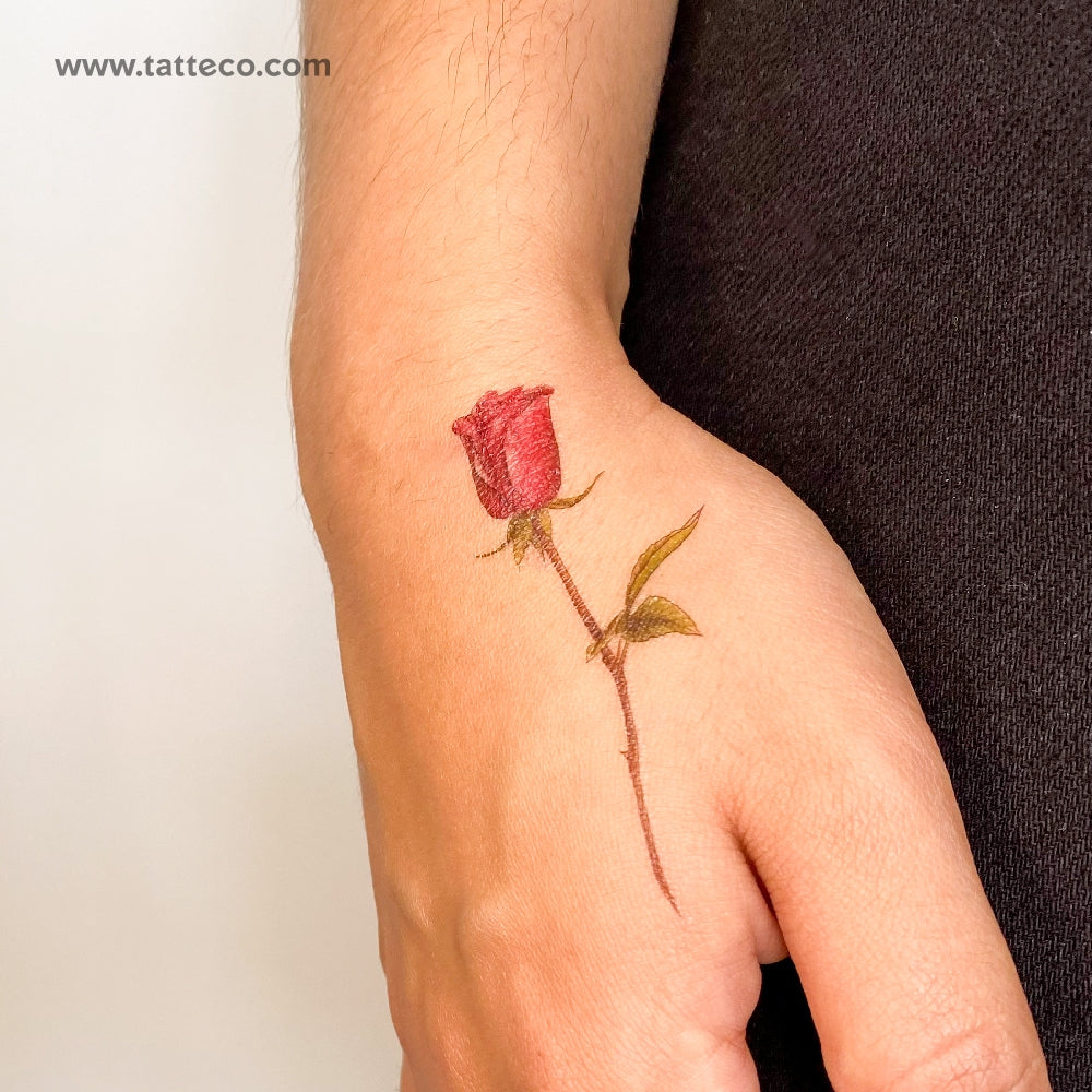 Illustrative Red Rose Temporary Tattoo - Set of 3
