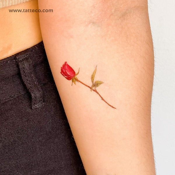 Illustrative Red Rose Temporary Tattoo - Set of 3