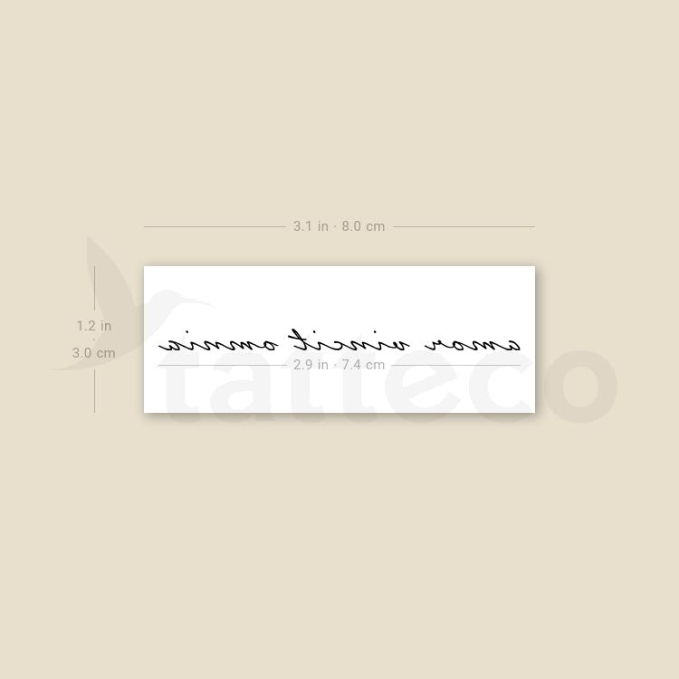 Amor Vincit Omnia Temporary Tattoo - Set of 3