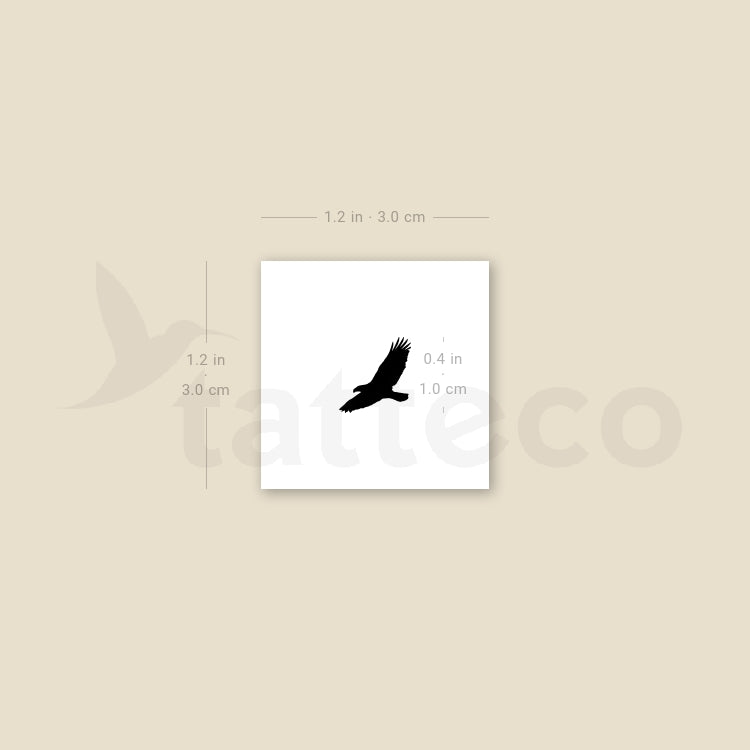 Little Eagle Temporary Tattoo - Set of 3