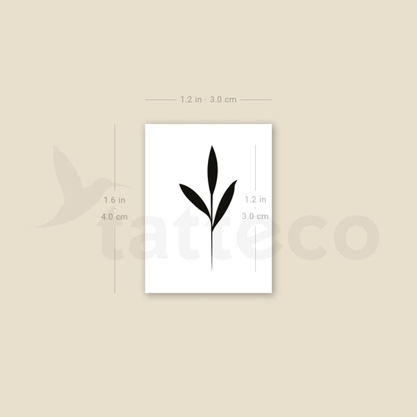 Black Sprout Temporary Tattoo - Set of 3